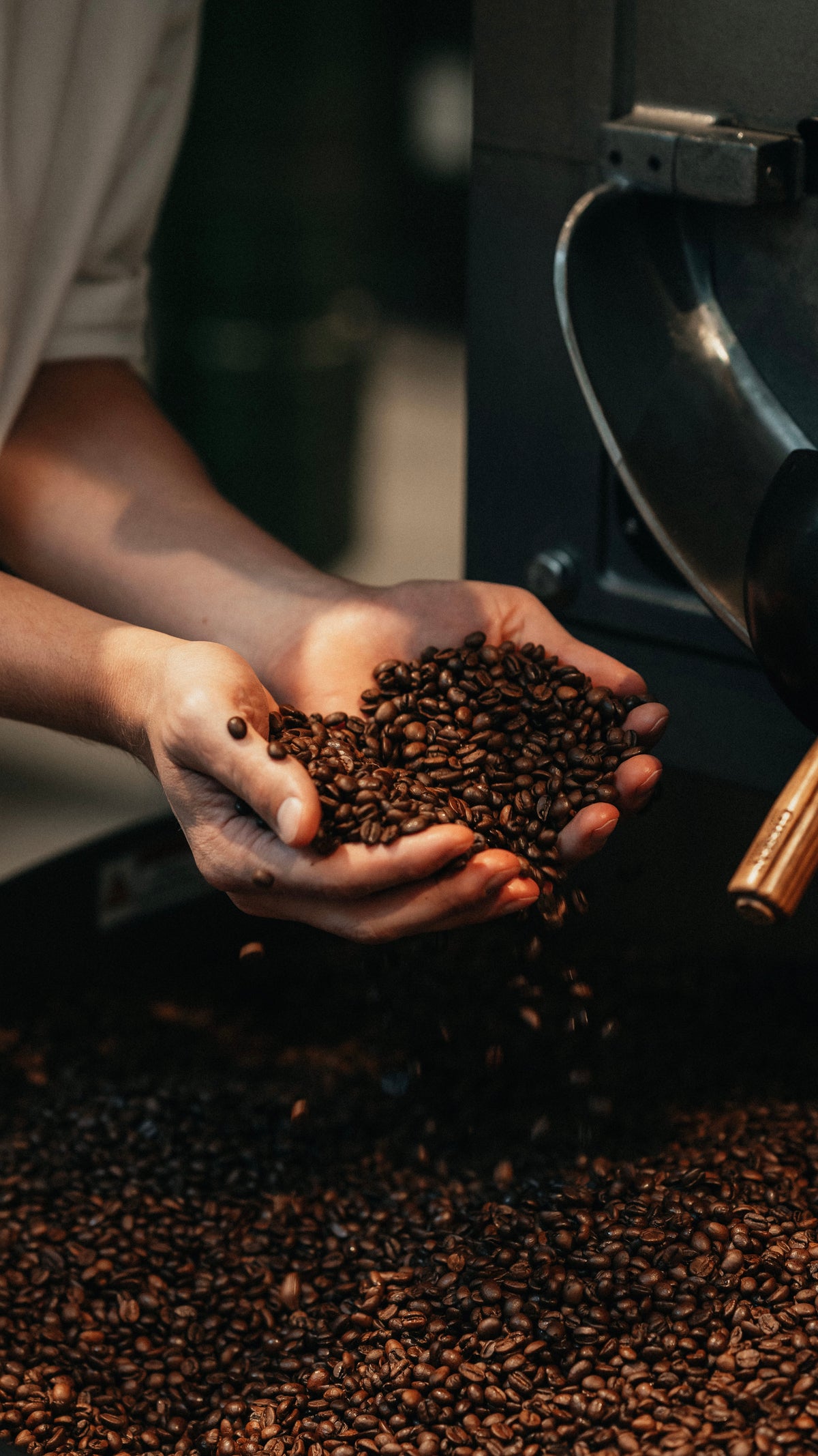 Kaffeeröstung beim Workshop